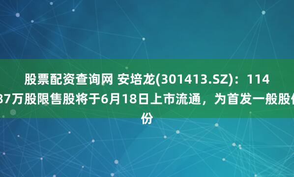 股票配资查询网 安培龙(301413.SZ)：114.87万股限售股将于6月18日上市流通，为首发一般股份