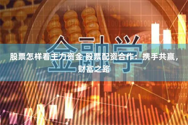 股票怎样看主力资金 股票配资合作：携手共赢，财富之路