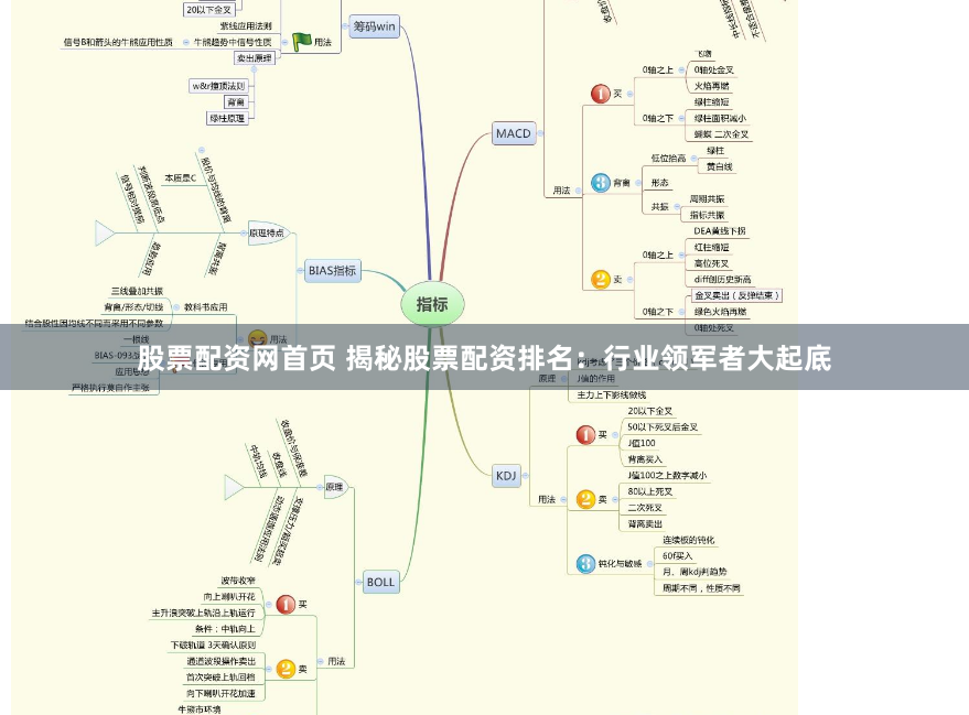 股票配资网首页 揭秘股票配资排名：行业领军者大起底
