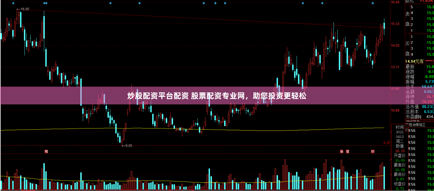 炒股配资平台配资 股票配资专业网，助您投资更轻松