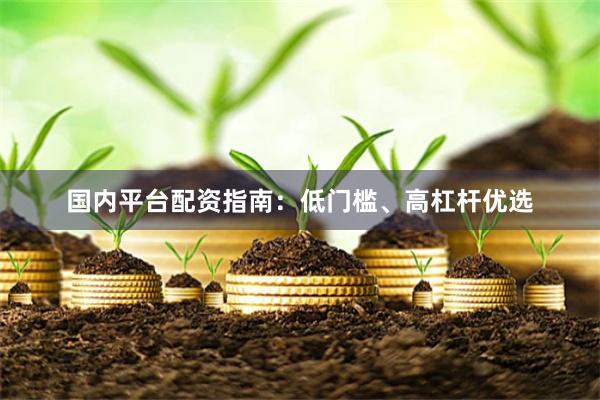 国内平台配资指南：低门槛、高杠杆优选